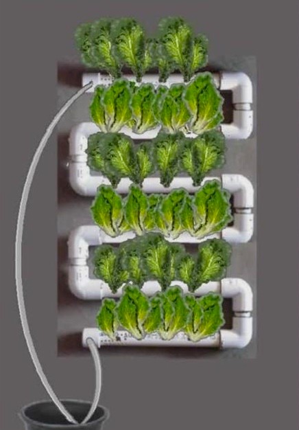 This image has an empty alt attribute; its file name is vertical-Garden6.jpg